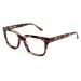 Lorelai tortoise diagonal view - revised