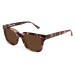 Lorelai tortoise sun diagonal view