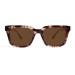 Lorelai tortoise sun front view